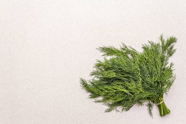 Taze organik dereotu.