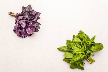 Taze organik bitkiler: iki çeşit fesleğen.