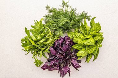 Taze bitkiler: fesleğen, roka, dereotu..