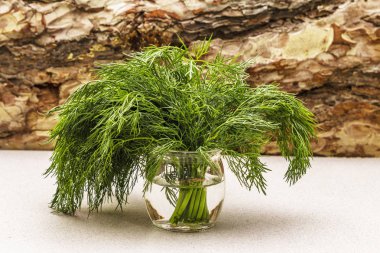 Taze organik dereotu.