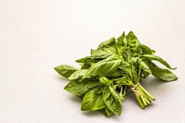 Fresh organic herb green basil — Stock Photo, Image