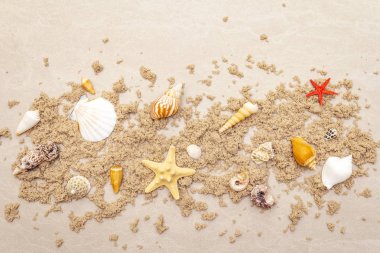 Deniz kabukları, kumlu yaz geçmişi. Bir sürü farklı deniz kabuğu bir araya toplanmış, boşluğu, çerçeveyi, üst görünümü kopyala.