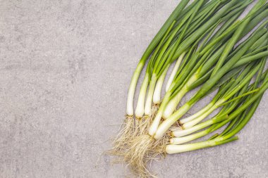 Taş zeminde taze yeşiller