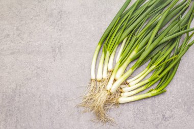 Taş zeminde taze yeşiller