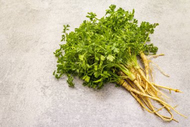 Taş zeminde taze yeşiller