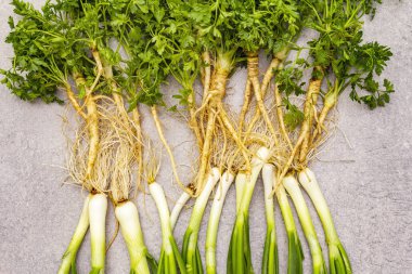 Taş zeminde taze yeşiller