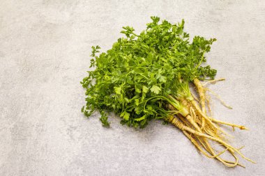 Taş zeminde taze yeşiller