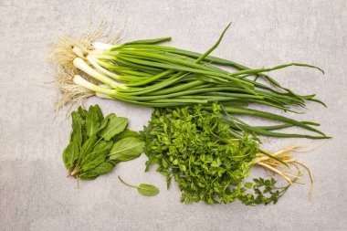 Taş zeminde taze yeşiller