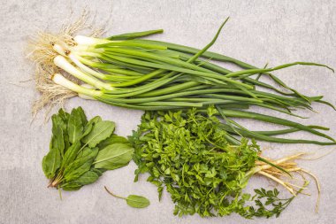 Taş zeminde taze yeşiller