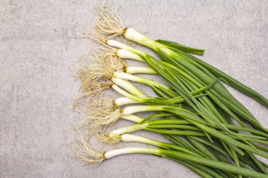 Taş zeminde taze yeşiller