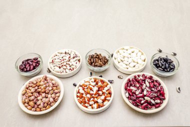 Taş zeminde çeşitli fasulye çeşitleri. Kızıl yaban mersini, kırmızı, boyalı midilli, siyah kaplumbağa, kahverengi, siyah gözlü, Jacob 'un Sığırları (aile yadigarı) ve Lima.