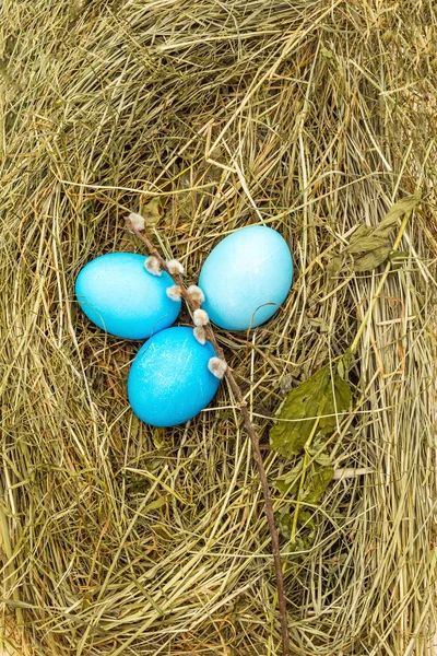 Концепция пасхальных яиц в гнезде на сене с тюленями ивы на деревянном фоне стола, крупным планом — стоковое фото