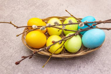 Paskalya yumurtası kavramı söğüt ağacının dallarını sepete koyar. Taş bir arkaplanda, kopyalama alanı, duvar kağıdı, kapat.