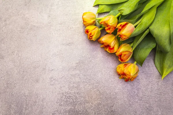 Forår romantisk koncept. Blid tulipan på stenbaggrund. Kort, tapet, kopieringsrum, topvisning . - Stock-foto