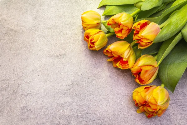 Forår romantisk koncept. Blid tulipan på stenbaggrund. Kort, tapet, kopieringsrum, topvisning, nærbillede . - Stock-foto