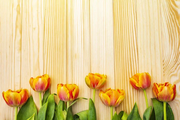 Forår romantisk koncept. Blid tulipan på træ baggrund. Kort, tapet, kopieringsrum . - Stock-foto