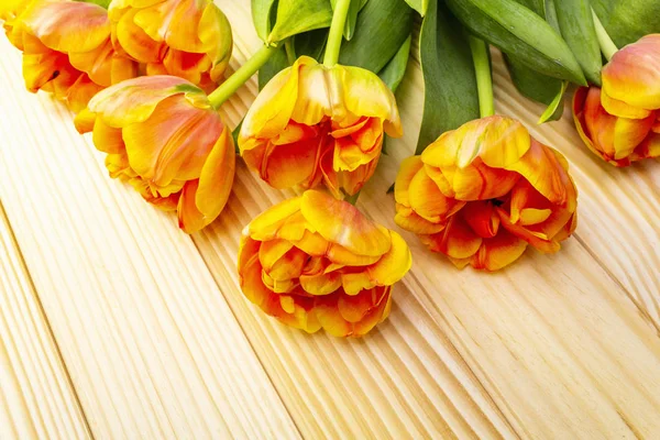 Forår romantisk koncept. Blid tulipan på træ baggrund. kort, tapet, kopieringsrum, nærbillede, makro . - Stock-foto