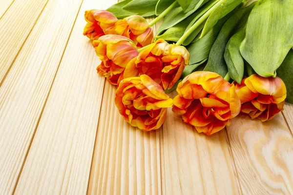Forår romantisk koncept. Blid tulipan på træ baggrund. Kort, tapet, kopieringsrum, nærbillede . - Stock-foto