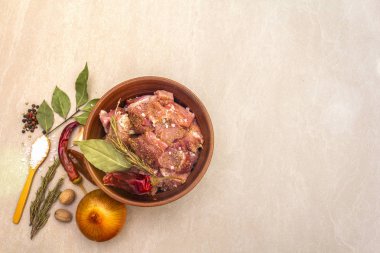 Çiğ domuz omzu. Baharatlar, kuru otlar, sarımsak, biberiye, defne yaprağı, acı ve karışık biber, hindistan cevizi, soğan, tuz. Salamura et için gerekli malzemeler. Taştan arka plandaki Rustik seramik kase kopya alanı