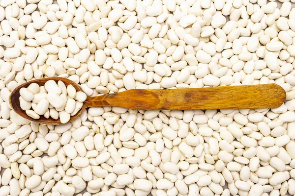 Dry lima beans stone background, with wooden spoon, top view, wallpaper, close up, macro. — Stock Photo, Image