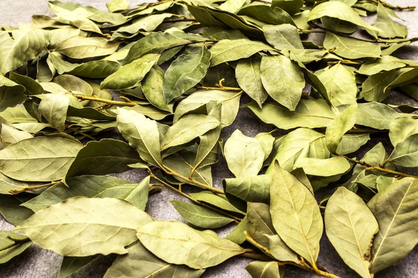 Залив листья сухой текстуры фона — стоковое фото