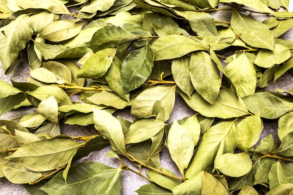 Bay liście suszone tło tekstury — Zdjęcie stockowe