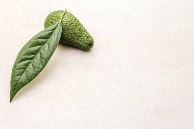Avokado ve avokado yaprağı. Aşçılık geçmişi. Taş yüzeyde