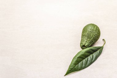 Avokado ve avokado yaprağı. Aşçılık geçmişi. Taş yüzeyde