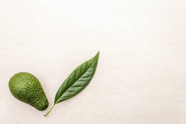 Avokado ve avokado yaprağı. Aşçılık geçmişi. Taş yüzeyde, üst manzara