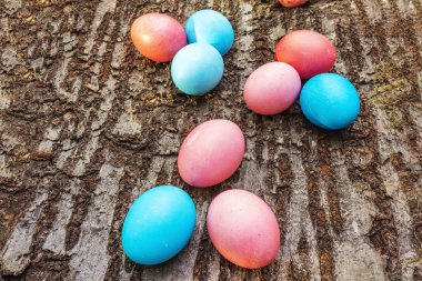 Paskalya konsepti pembe (pembe) ve mavi yumurtalar. Ahşap kabuk arka planında
