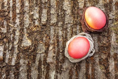 Paskalya konsepti pembe (pembe) yumurtalar iplik yuvalarında. Güneşli ışınlarda ahşap kabuk arka planında. Üst görünüm