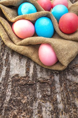 Paskalya konsepti pembe (pembe) ve çuval bezinde mavi yumurtalar. Tahta kabukta güneşli ışınlarda