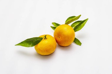 Yapraklarla dolu olgun mandalinalar. Beyaz arkaplanda izole edilmiş taze meyveler