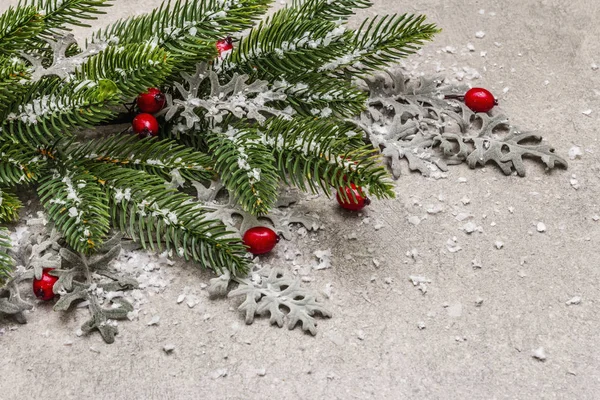 Christmas background. New year fir tree, dog rose, fresh leaves and artificial snow. Stone concrete backdrop — Stock Photo, Image