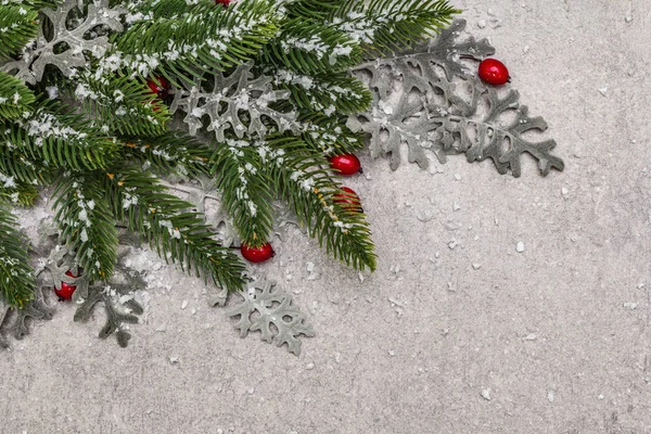 Christmas background. New year fir tree, dog rose, fresh leaves and artificial snow. Stone concrete backdrop — Stock Photo, Image