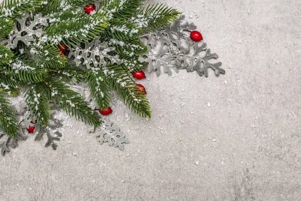 Різдвяний фон. Новорічна ялинка, троянда собак, свіже листя і штучний сніг. Кам'яний бетонний фон — стокове фото