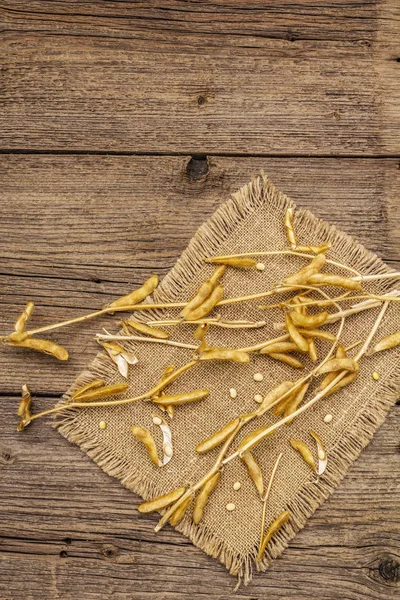 Ripe dry soybeans in pods. Cultivated organic agricultural crop, traditional healthy ingredient in oriental culture. Vintage sackcloth, wooden boards background