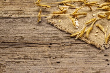 Olgun kuru soya fasulyesi. Organik tarım mahsulü, doğu kültürünün geleneksel sağlıklı bileşeni. Klasik çuval bezi, tahta tahta arka plan