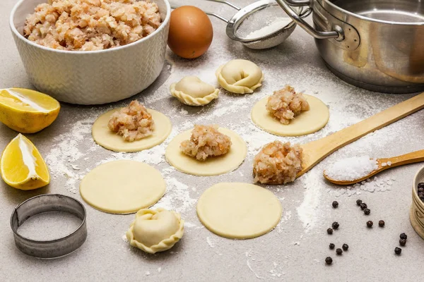 Fish dumplings. Ingredients for home cooking. Fresh dough, fish, spices, cooking equipment. Stone concrete background — Stock Photo, Image