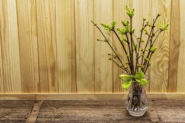 Zero waste Easter concept. Spring twigs with fresh green leaves. Glass vase, polka dot ribbon bow. Wooden boards background and backdrop