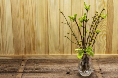 Zero waste Easter concept. Spring twigs with fresh green leaves. Glass vase, polka dot ribbon bow. Wooden boards background and backdrop