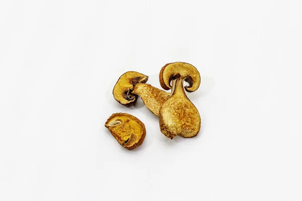 Gedroogde porcini champignons geïsoleerd op witte achtergrond. Traditioneel ingrediënt voor het koken van gezond voedsel — Stockfoto
