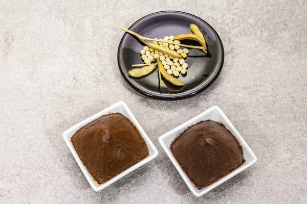 Pasta de miso, condimento tradicional japonés. Dos tipos, marrón oscuro y marrón claro con soja seca. Fondo de hormigón piedra — Foto de Stock