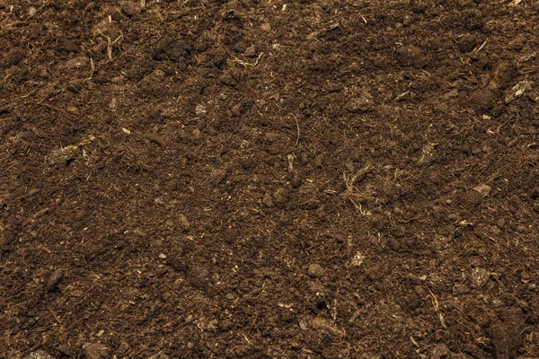 Fondo de textura del suelo para el concepto de jardinería. Suelo cultivado, superficie ambiental — Foto de Stock