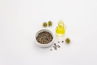 Dulaf otu yağı ve tohumları beyaz arka planda izole edilmiş. Güzellik ve kişisel bakım konsepti