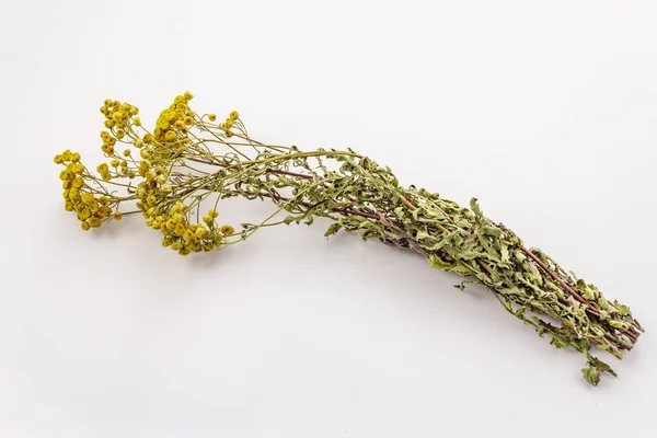 Ramo seco Tanacetum vulgare aislado sobre fondo blanco. Planta medicinal, medicina alternativa —  Fotos de Stock