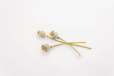 Kurutulmuş haşhaş kafaları beyaz arka planda izole edilmiş.