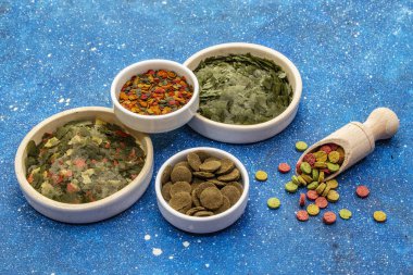 Akvaryum balığı için farklı yemek türleri. Flakes, spirulina, haplar, karışım. Deniz mavisi arka plan