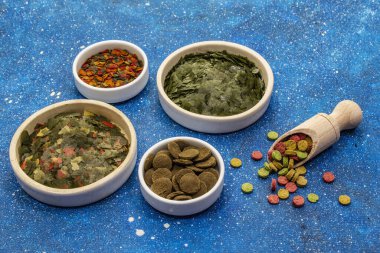 Akvaryum balığı için farklı yemek türleri. Flakes, spirulina, haplar, karışım. Deniz mavisi arka plan