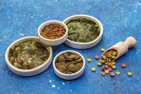 Akvaryum balığı için farklı yemek türleri. Flakes, spirulina, haplar, karışım. Deniz mavisi arka plan